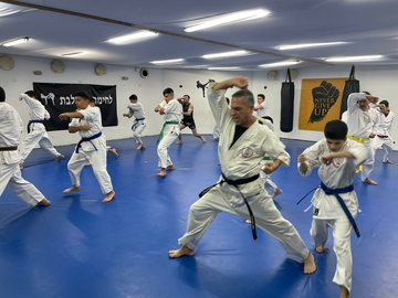 תמונת: לחימה משולבת